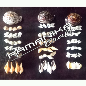 bali sea shell wind chimes tiger shell handicraft cmtcs