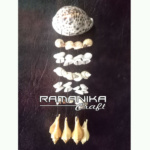 bali sea shell wind chimes tiger shell handicraft cmtcs1